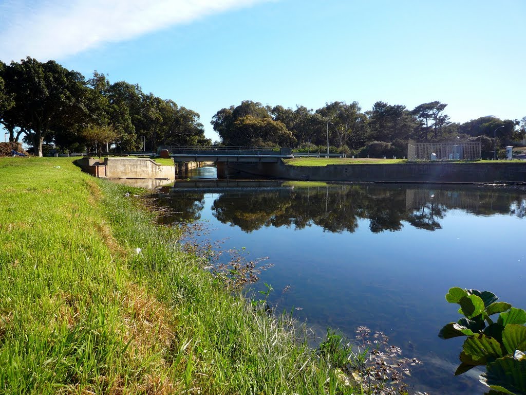 Views along the Liesbeek River by Danie van der Merwe