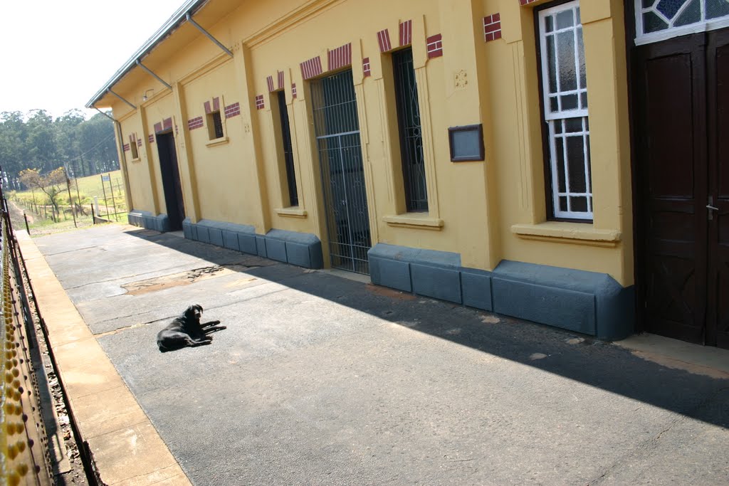 Estação antiga de trem ( Campinas-Jaguariuna ) by Lucio Villela