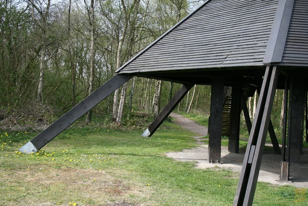 Risley Moss - Under the Tower by 2eimages