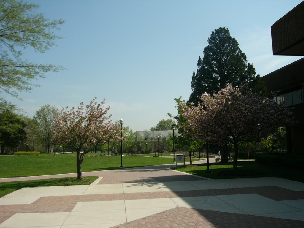 Bowie State Maryland by Jamie Cane