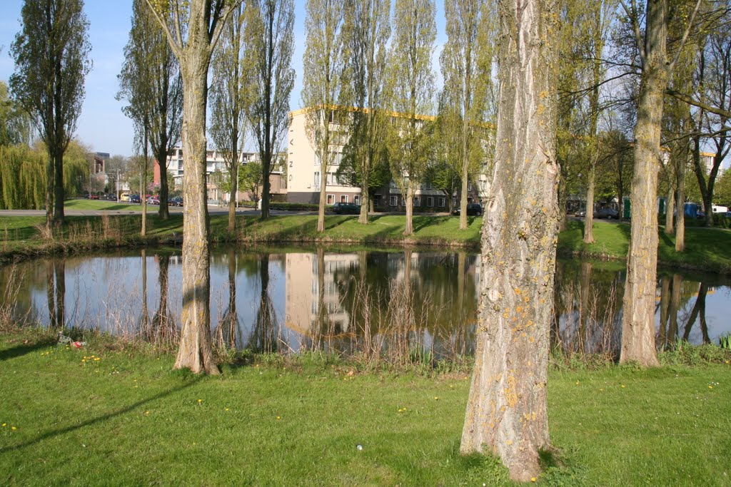 Water en bomenring; Beneluxlaan hoek Vaso Da Gamalaan. by Carl030nl