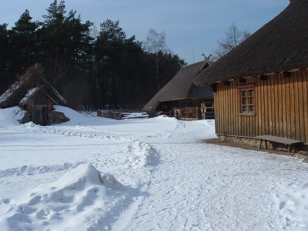 Pakeliui į Jūrų muziejų by muchio