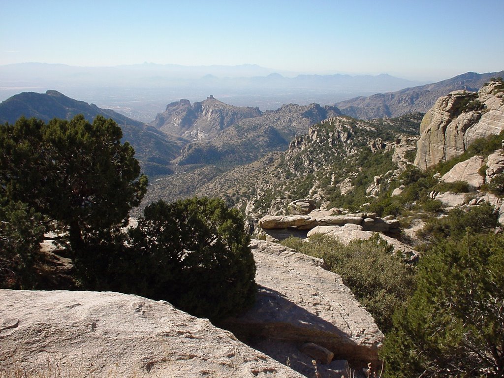 Mount Lemon - Tucson, Az by ml22