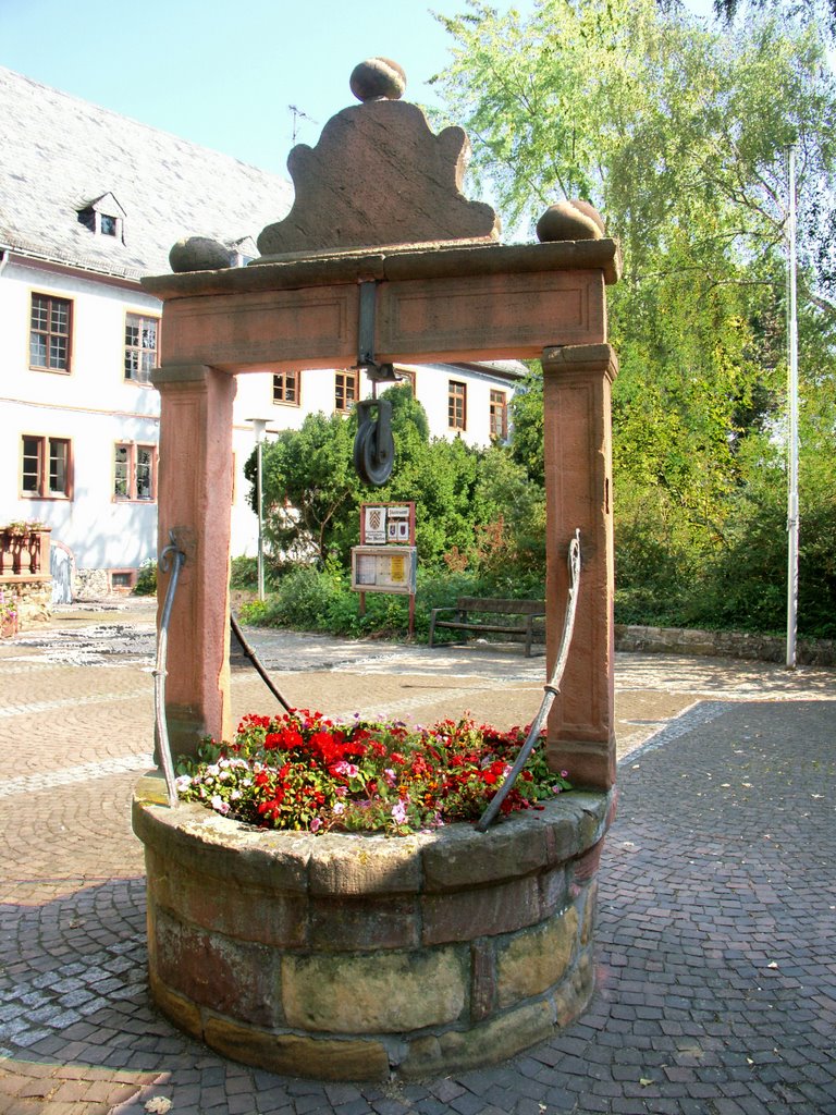 Brunnen im Schlosshof by Ingendahl