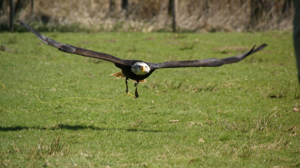 Wildpark Eekholt by chrisjensen