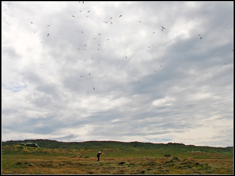 Southern Peninsula Region, Iceland by 尼尔伯