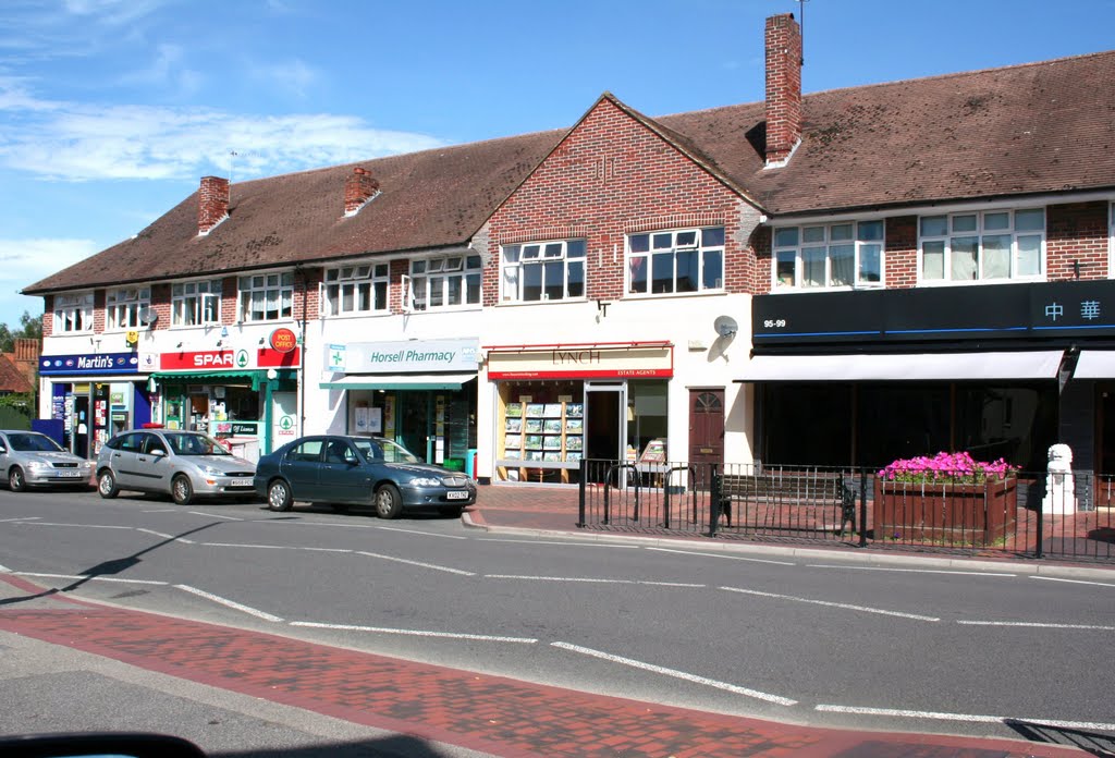 Horsell High Street by Malcolm Head