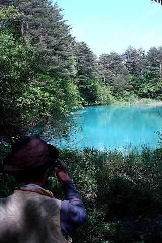 青沼（五色沼） Aonuma swamp (one of the Goshikinuma swamps) by GENTA