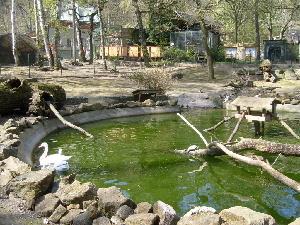 Zoo Děčín by danieladaniela