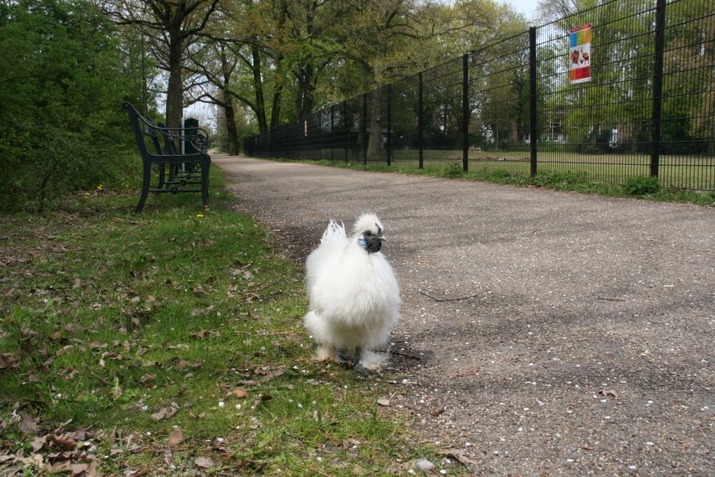 Exclusive chick at Julianapark Utrecht by Carl030nl