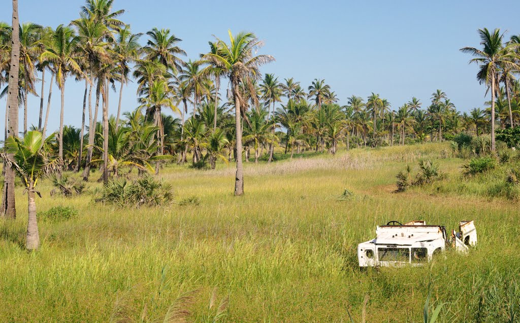 Palm garden behind dunes, Tofo by Tjark van Heuvel