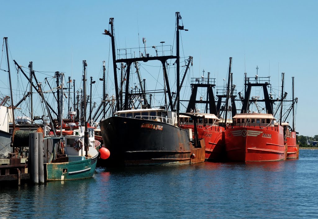 Some of the New Bedford Fleet, Fresh in From "The Banks" by Warren Edward Will