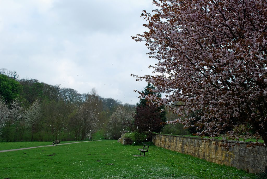 East Carlton Country Park by Geoff Slack