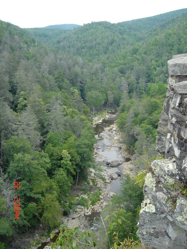 Linville Gorge below Linville Falls - July 2007 by hitec1