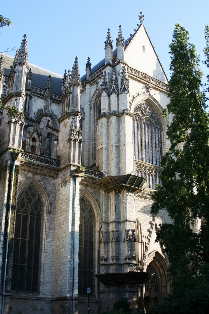 Cathédrale Saint-Pierre de Nantes by jesse haye