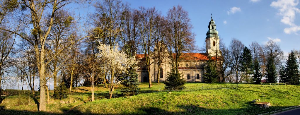 Sanktuarium Matki Bożej Dąbrowieckiej. by MARAS1999