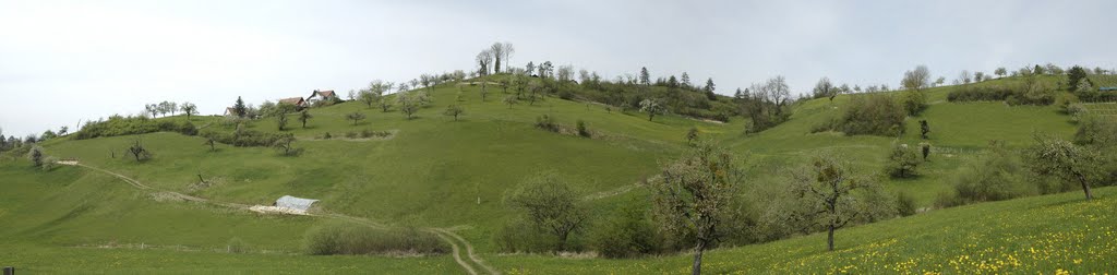 Panorama Ramlinsburger Suedhang by Rico Braun