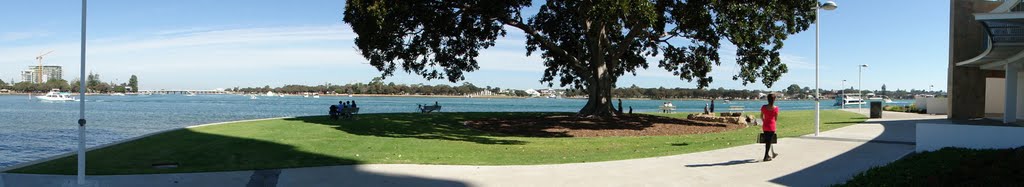 Large Tree Near Water by mapgoogle.org