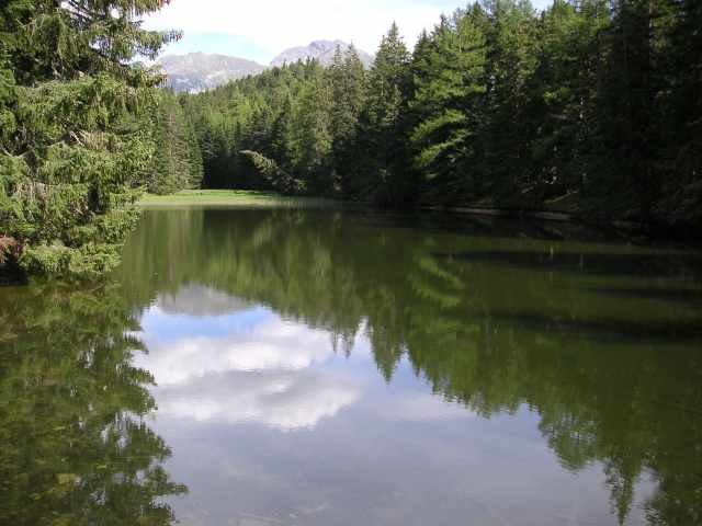 Waldweiher - Fließ by knam68