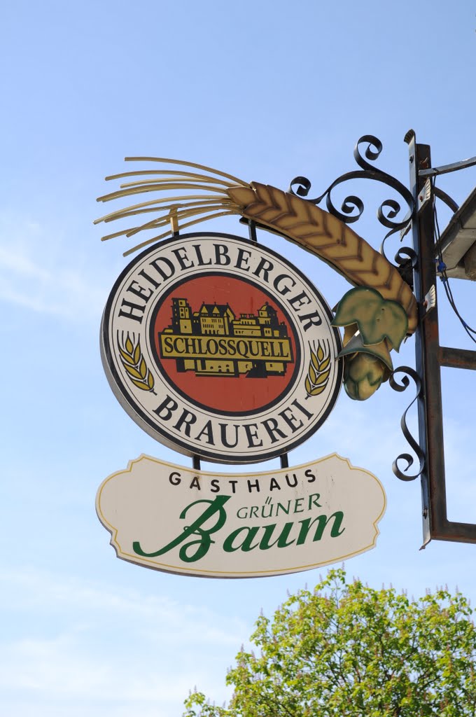 Gasthaus Grüner Baum by Friwebi