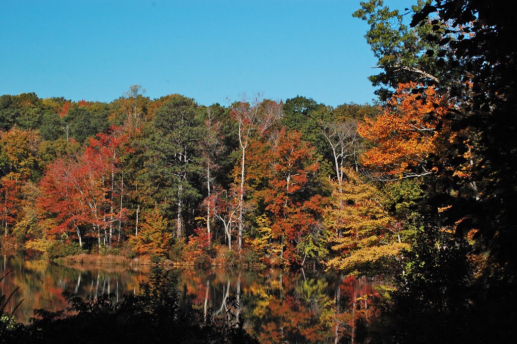 Moccasin Lake Fall No. 2 by Thasos