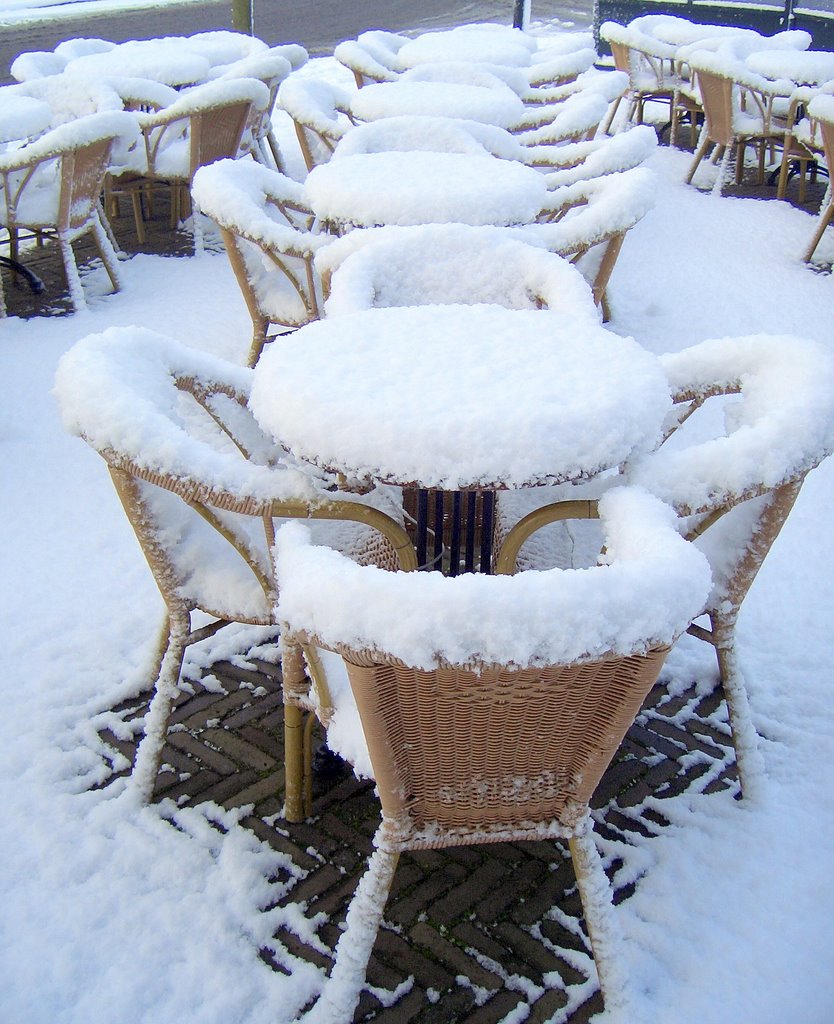 dordrecht terras  merwekade by haant