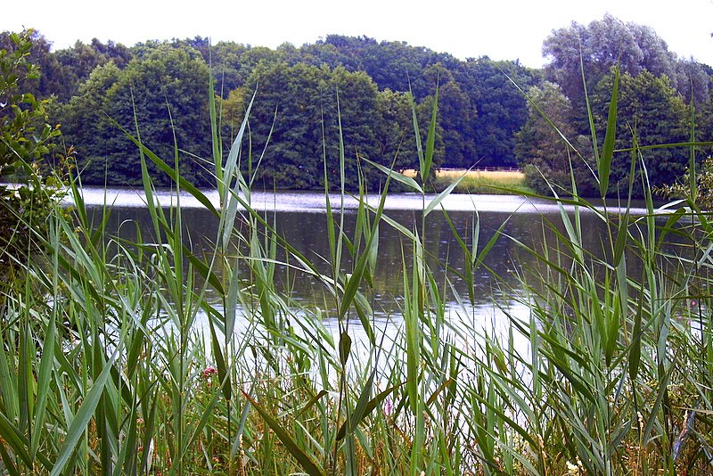 Rubbenbruchsee bei Osnabrück by rolflotte