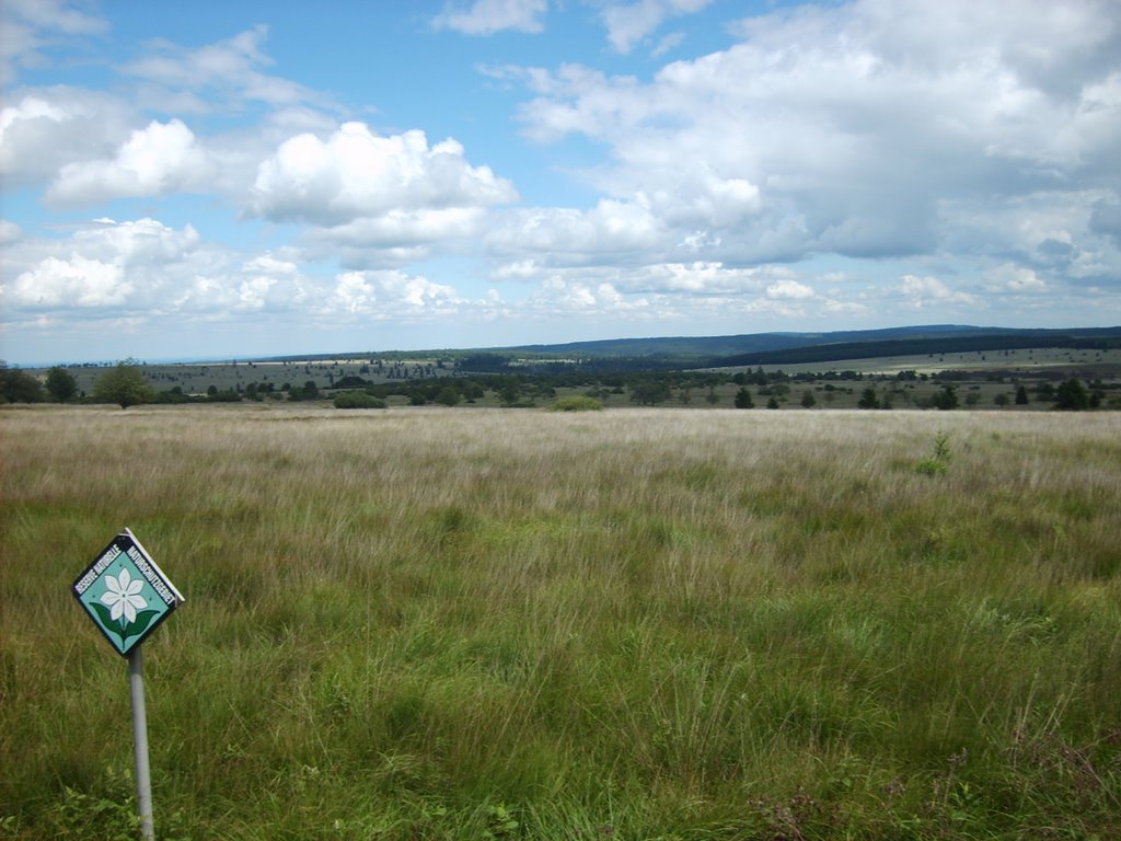 Hoge Venen/ Hautes Fagnes by Jeroen Vda