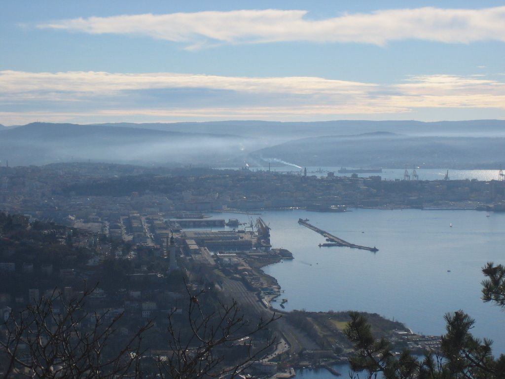 Trieste dalla Napoleonica by Giuseppe Sbisà