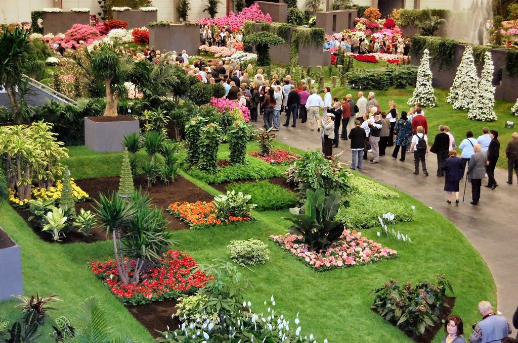 Flower display Ghent o=k by Olive Kirk