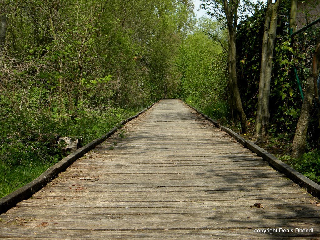 Houten wegel door bos by Denis Dhondt