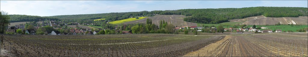 Panorama (1) - St Martin d'Ablois by Philippe.Berthod