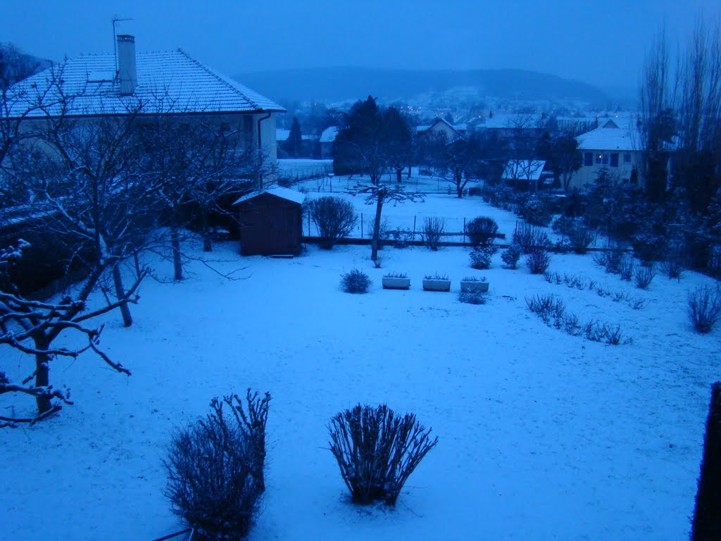 Jardin en Hiver à Echenoz by Olivier RS Girard