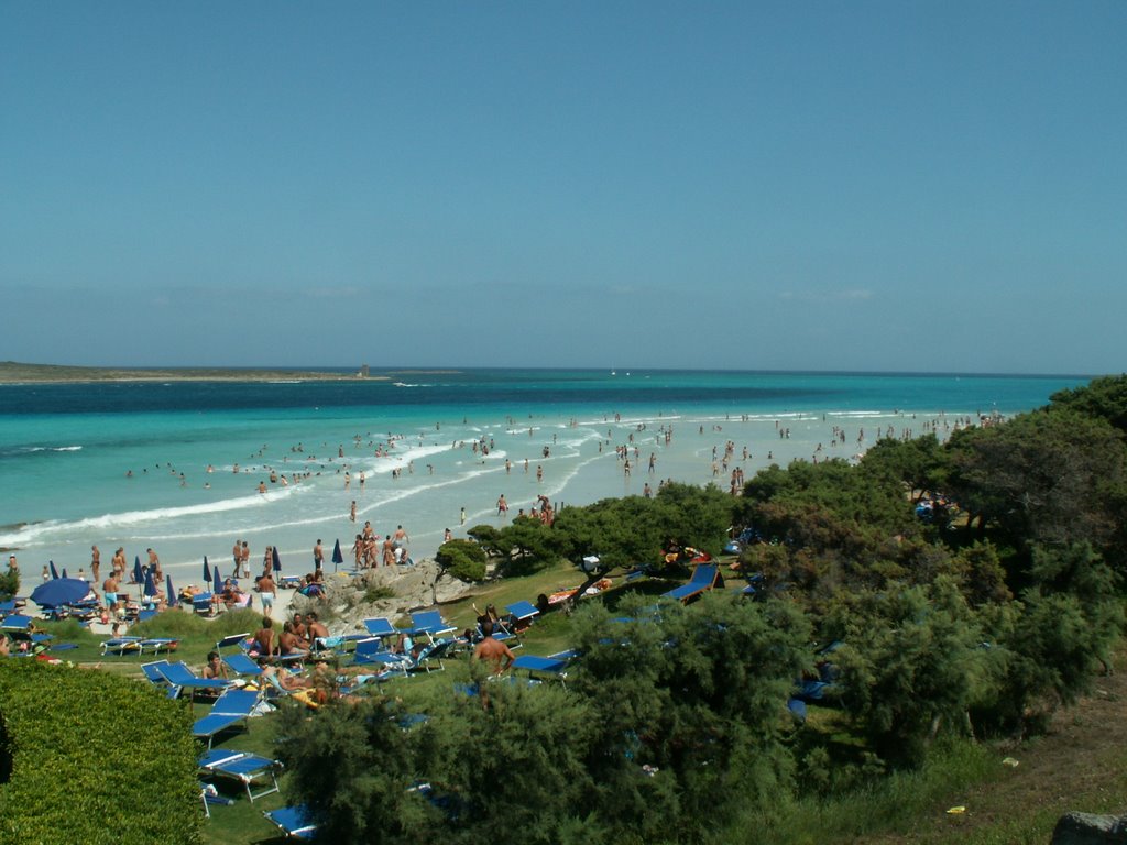 scorcio della spiaggia della Pelosa by claudia dimiccoli