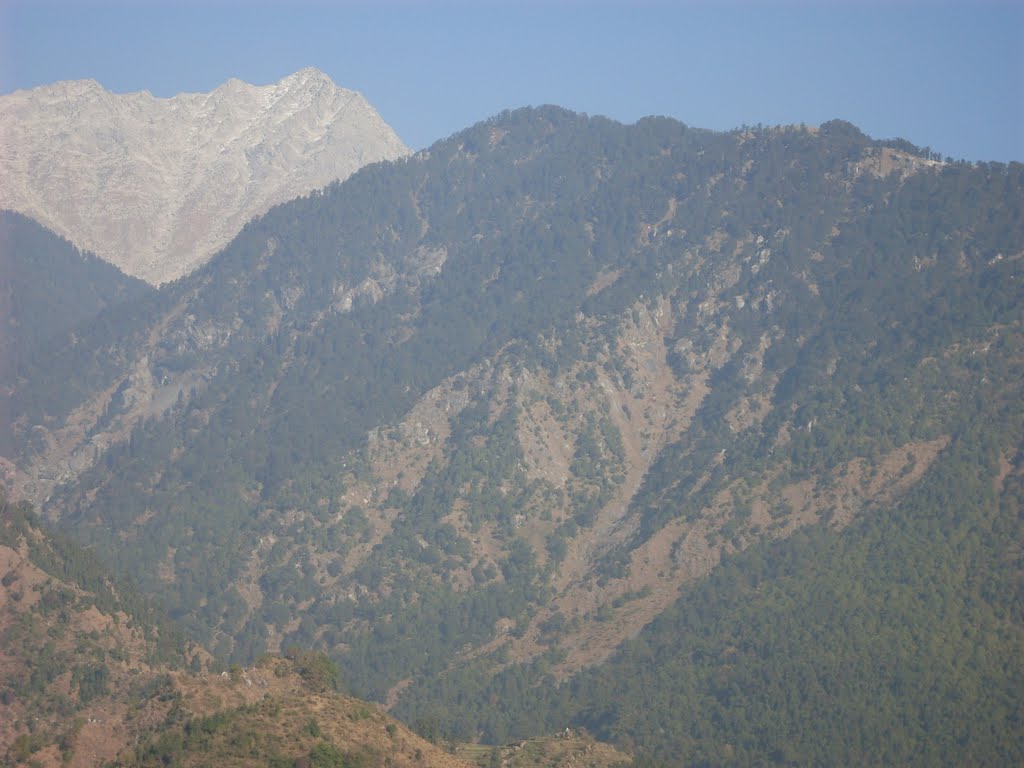 Naddi by Rajinder Guleria Yol (Dharamshala)