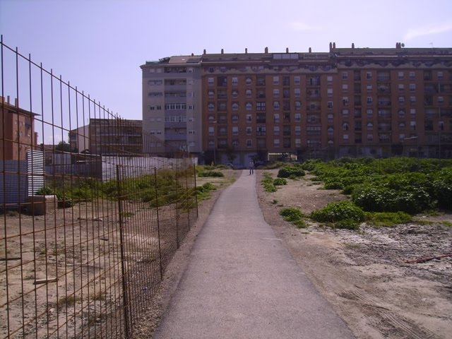 Calle de Cataluña by ALLPE Medio Ambiente