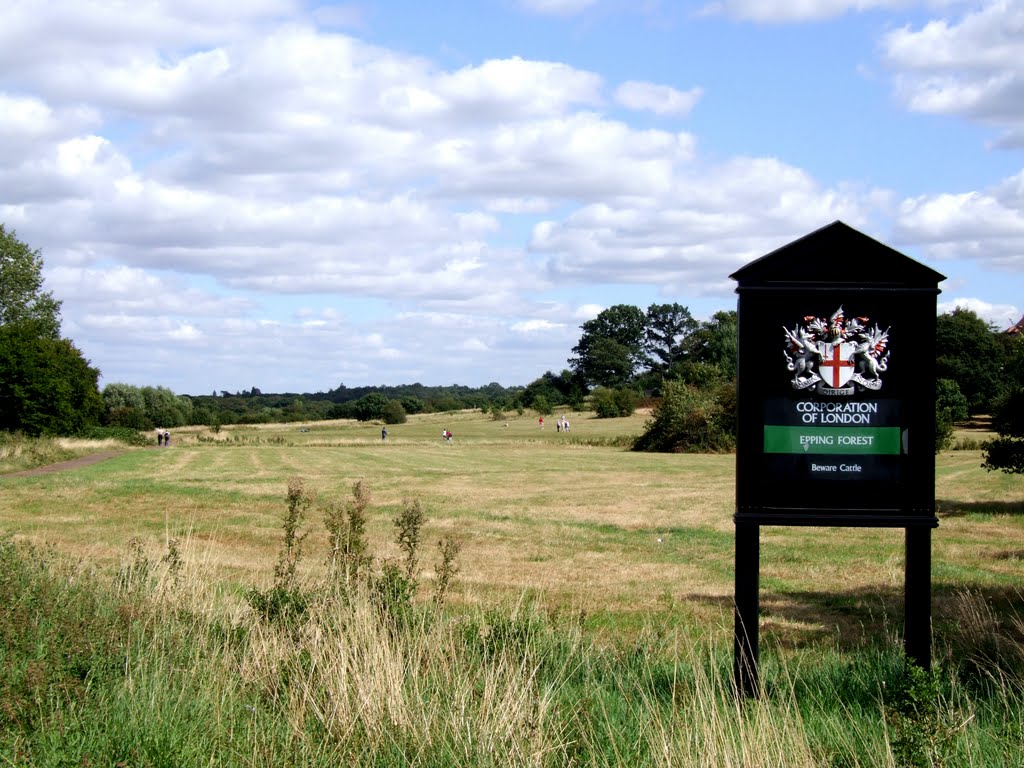 Welcome to Epping Forest by Thom Goddard