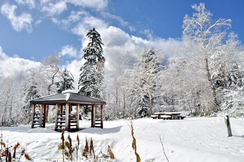 Park Near Mt Ashidake Ropeway Station by sethanon