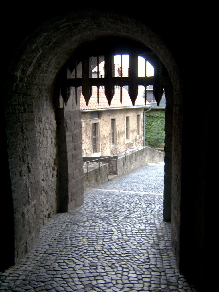 Germany_Harz Mountains_Castle_Of_Wernigerode_Dark_Way_54 by George Charleston