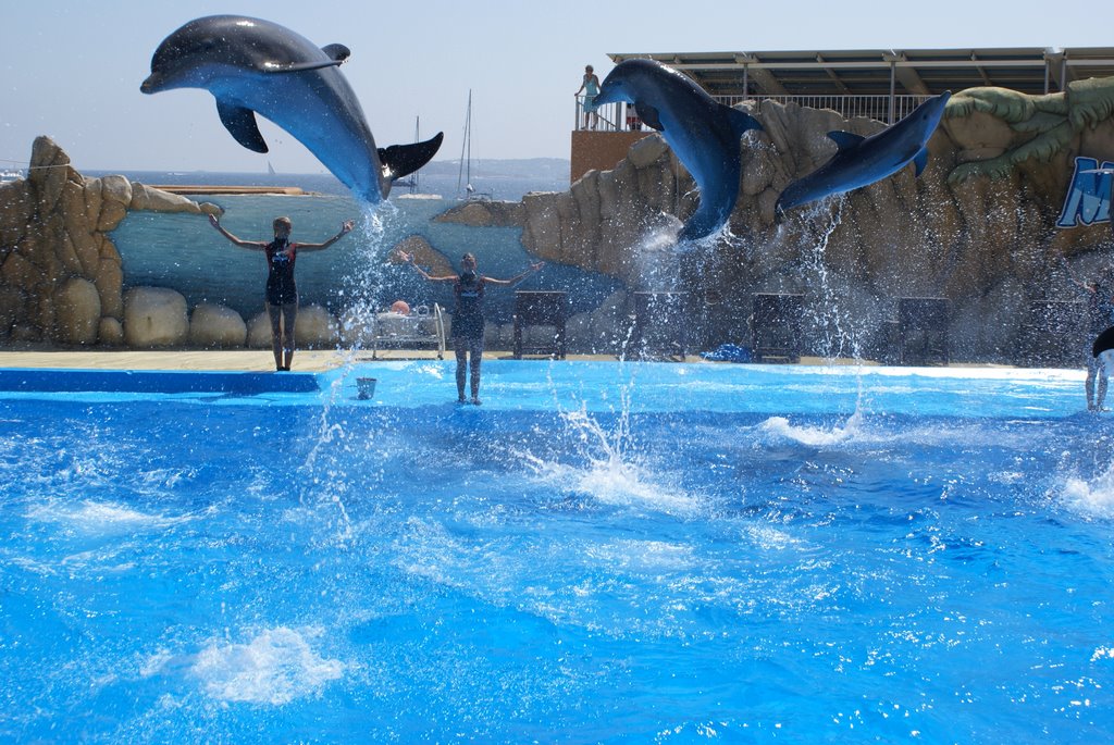 Mallorca - Marineland, Calvia by Malle.Malle.2007