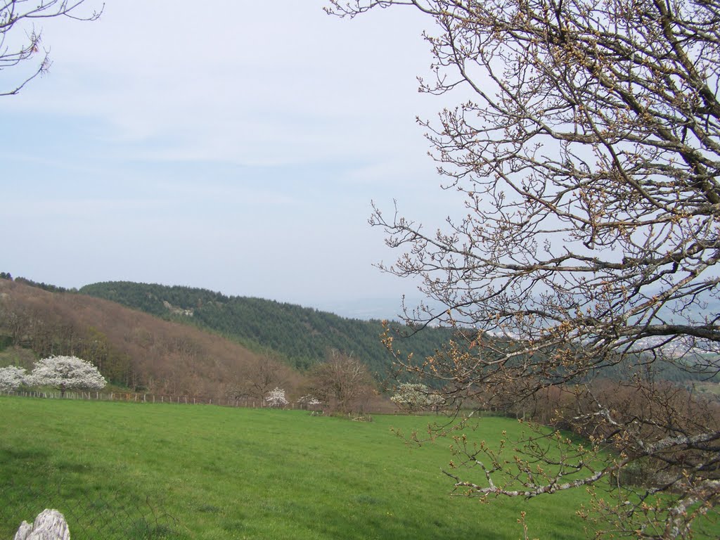 Prairie à côté de la Croix Blanche by acherkogel