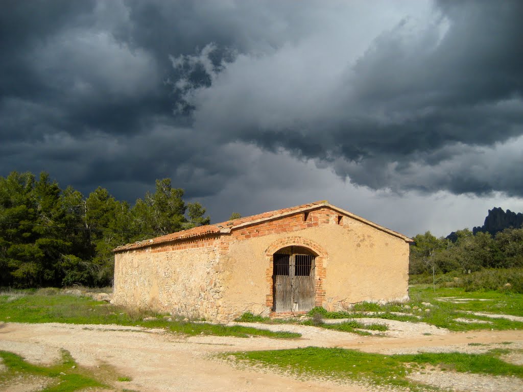 Nubes de tomenta by Enric Alsina