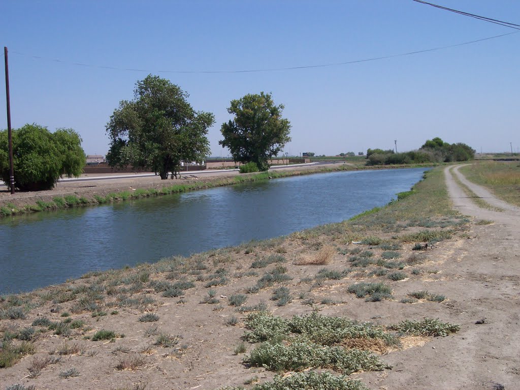 Waterway with trees by karl44