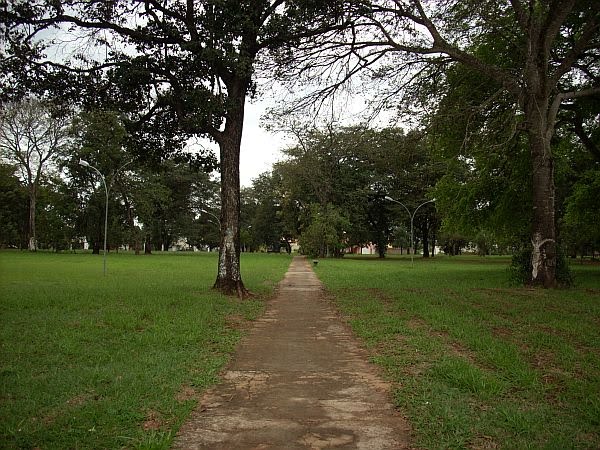 Park of the Carandá by photo.man