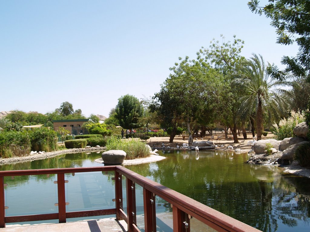 Inside Al Ain Zoo by johneadey