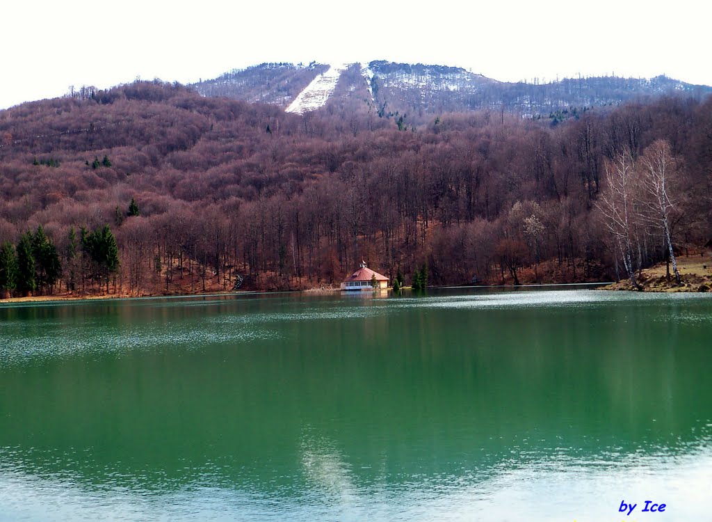 Vârful Mogoşa văzut peste lacul Bodi by IceBox