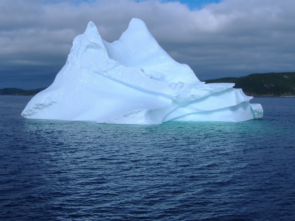 Iceberg at Twillingate by joycebakker