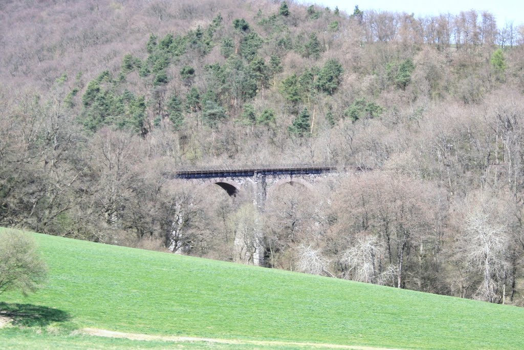 Eisenbahnviadukt von Niedererbach by oller rainer