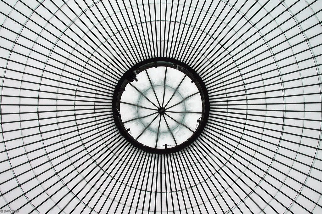 Glass roof, Kibble Palace by donaldw