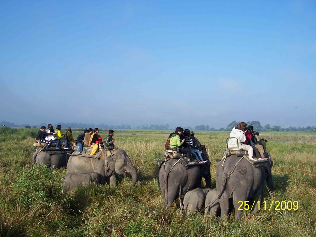 Kaziranga National Park, Assam by San Phrangmung